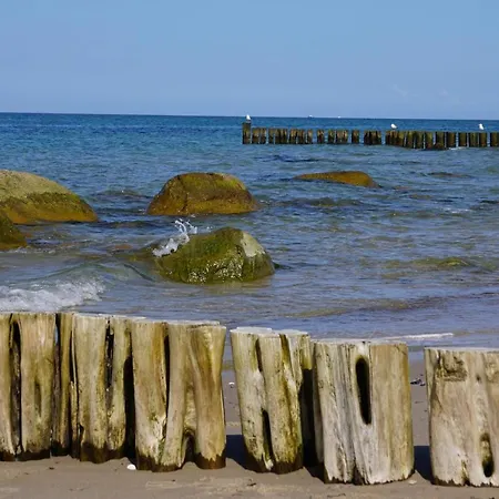 Fh Wildrose 1 Prázdninový dům Ostseebad Kühlungsborn